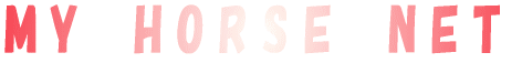 ����n��l�b�g 